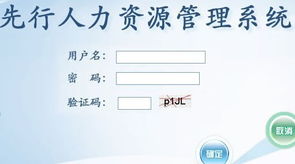 山东先行软件信息技术 助力烟台与山东地区软件开发与网站建设